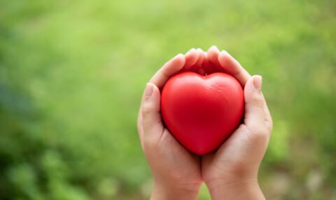 Two hands of child holding a red of rubber heart