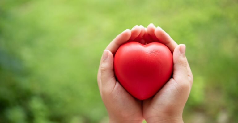 Two hands of child holding a red of rubber heart